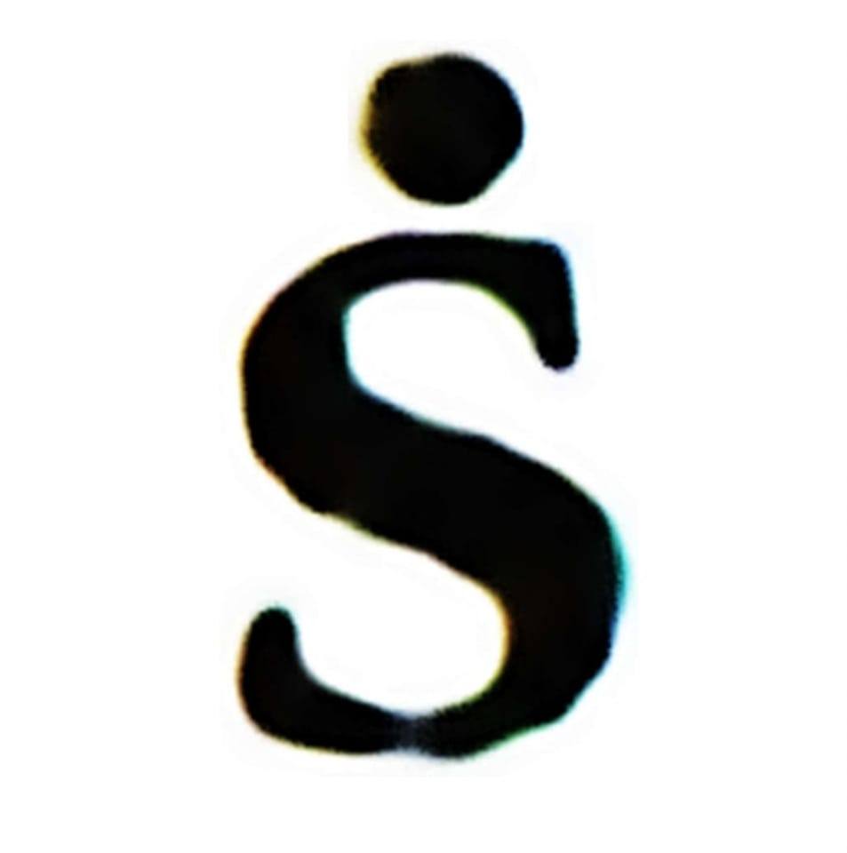 S logo black
